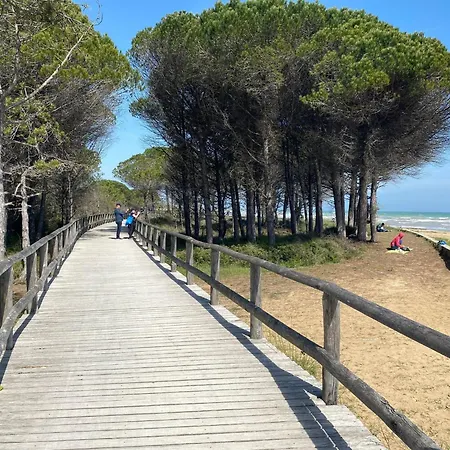 Apartment Comfy One-bedroom With Terrace And Lift Bibione