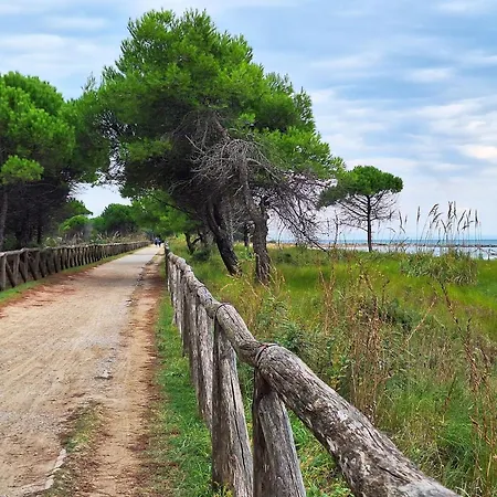 Comfy One-bedroom With Terrace And Lift * Bibione